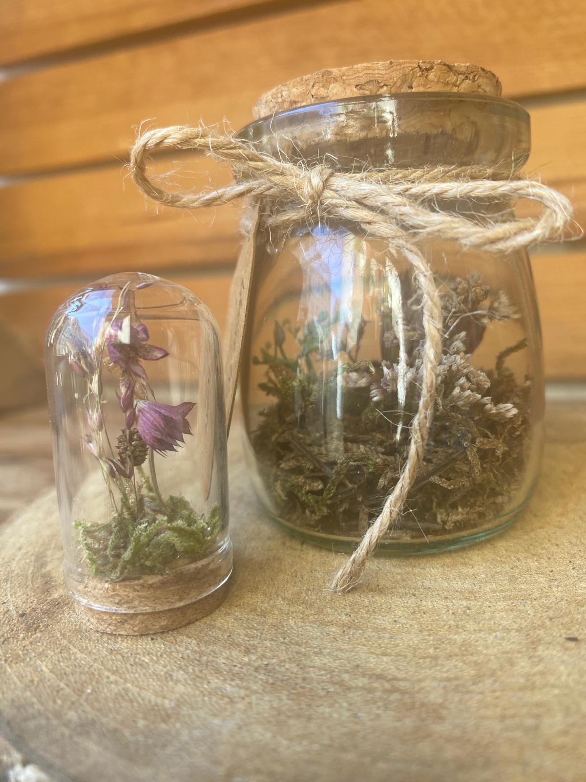 Kleine Blume kleine Wiese Set