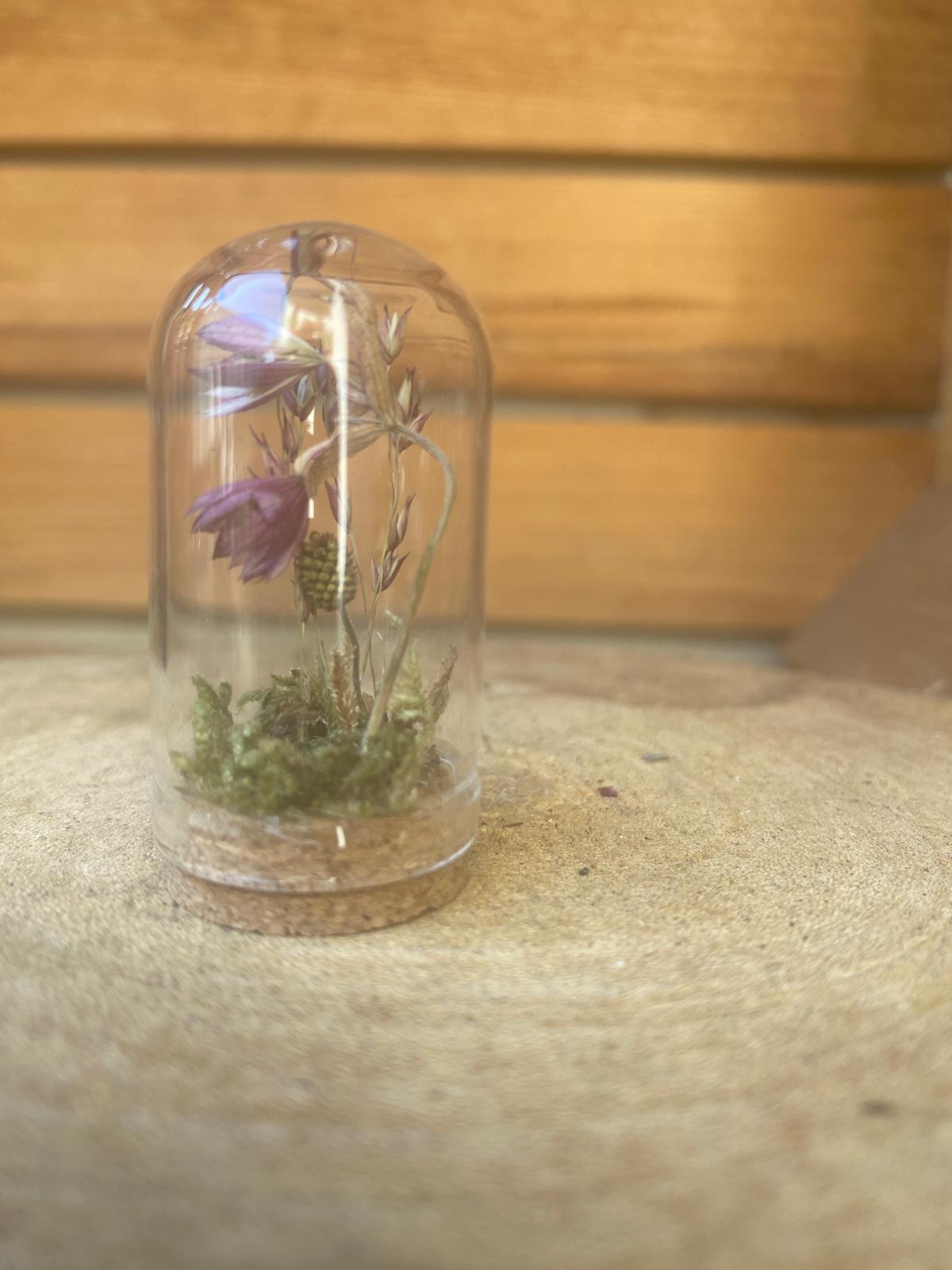 Kleine Blume in Mineaturglasvitrine