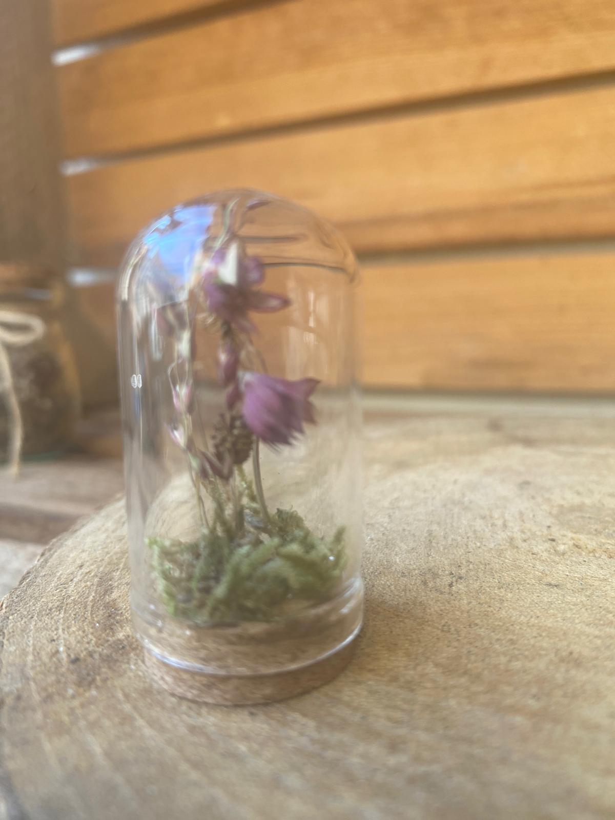 Kleine Blume in Mineaturglasvitrine